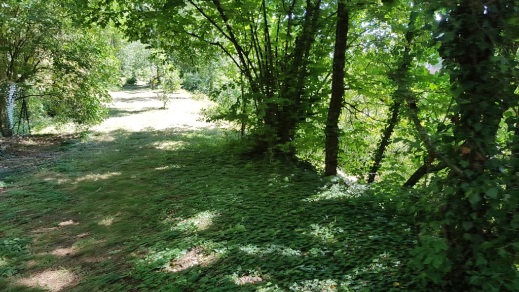 chemin dans la propriété