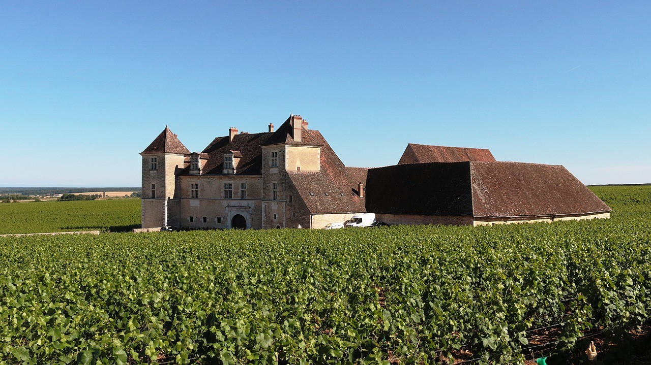 château de Vougeot